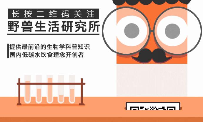 牛油果是真有营养还是虚假宣传,被捧上天却毫无作用的食物