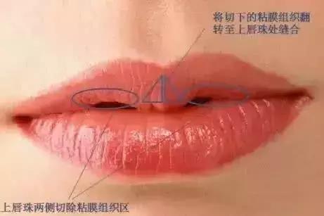 为什么别人涂的口红明明很美,为什么她涂任何颜色的口红都好看