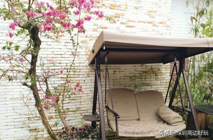 深圳地铁三号线沿途美景与美食,深圳9号线哪个地铁站有美食