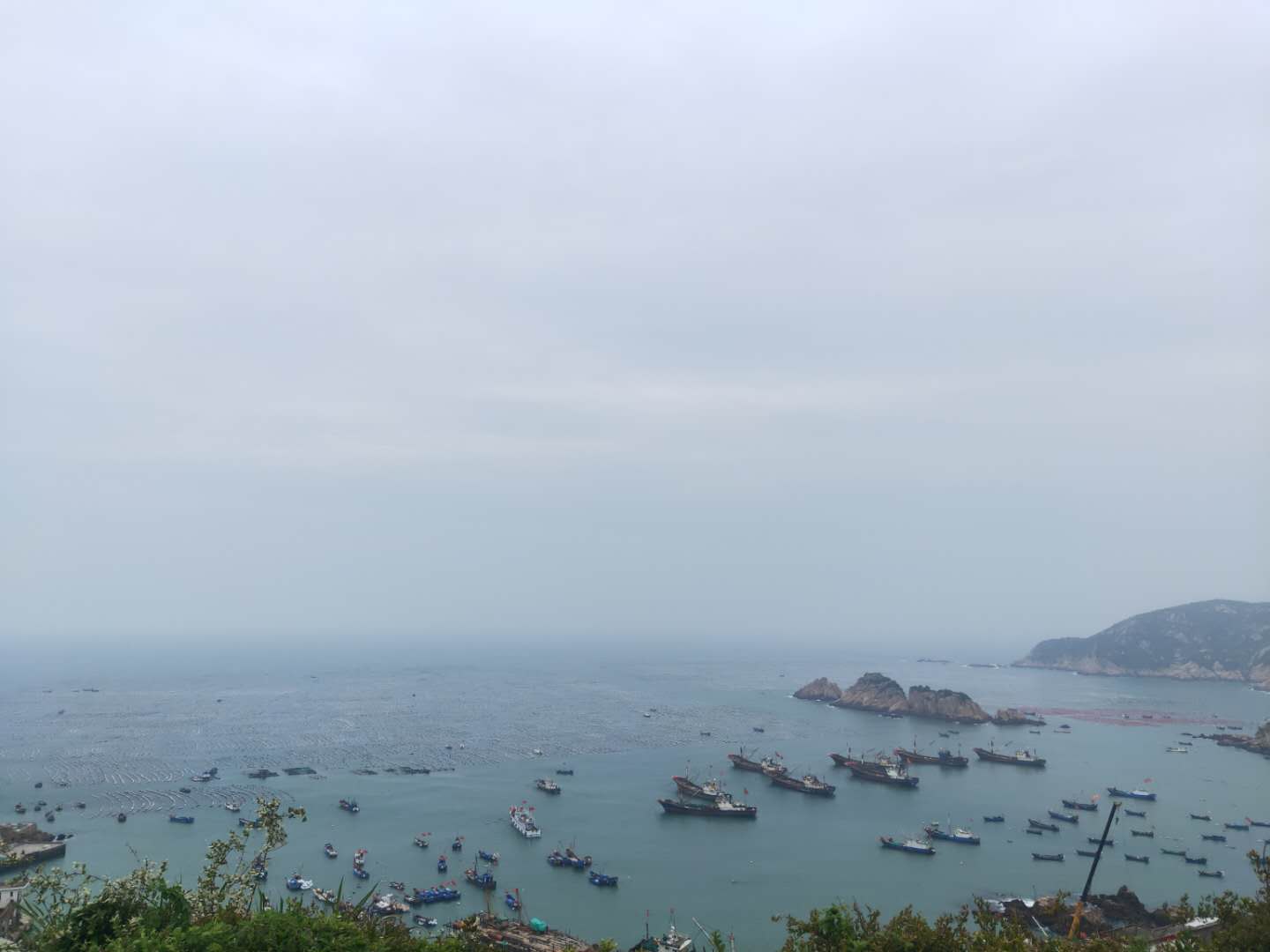 冬季的枸杞岛,枸杞岛感受