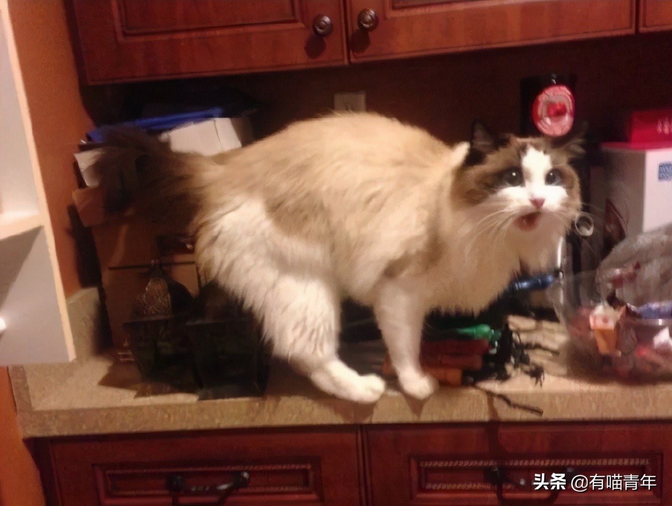 24岁男子喜当爹去派出所,90后男子相亲被误当爹