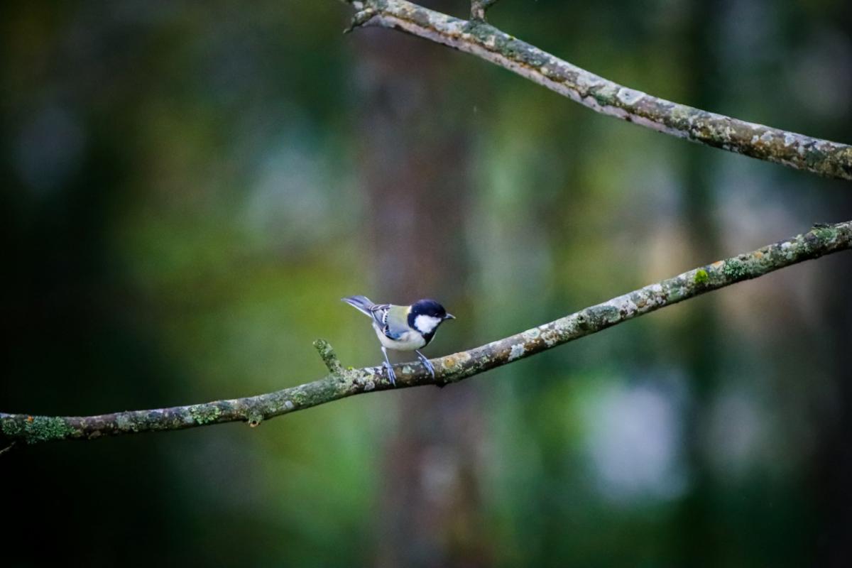 eos90d拍风景参数,eos90d使用教程