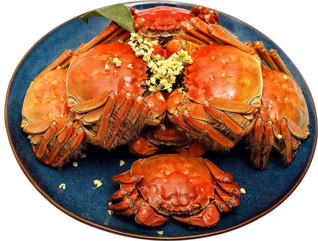 大闸蟹什么季节上市最好吃,公大闸蟹和母大闸蟹哪个好吃