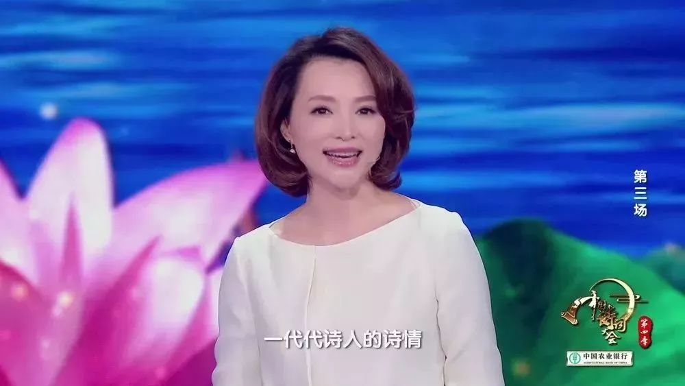 中国诗词大会第四季董卿经典语录,董卿关于四季诗词的开场词