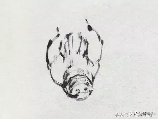 国画工笔猪图片,大写意画猪国画作品