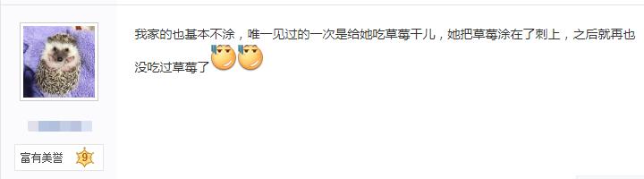 辟谣：非洲迷你刺猬咬人涂刺后就算接纳这个人？小心被白咬