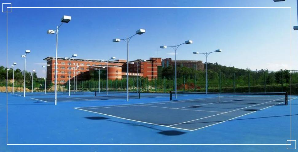 玉溪师范学院凤凰路134号乐队,玉溪师范学院的故事