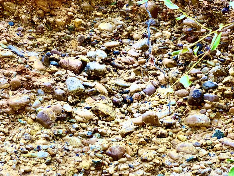 洛阳市宜阳凤凰岭射箭,宜阳县凤凰岭体育基地