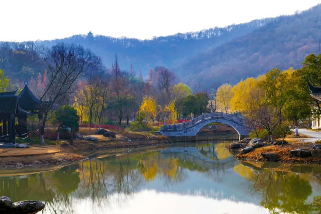 唐朝的诗人在镇江说，不趁春天好好看花偷闲，春天就白过了