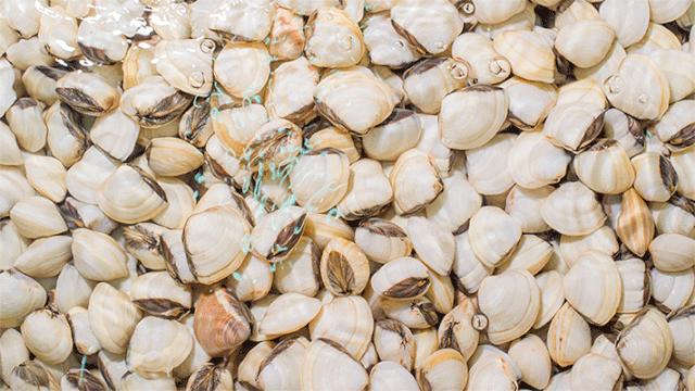 肇庆卜卜贝好吃吗,顺德网红卜卜贝做法