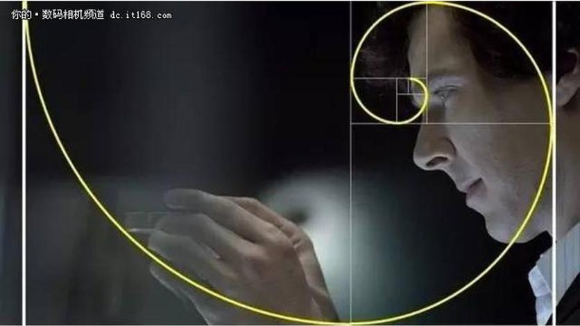 飞蛾扑火原因简短,飞蛾为什么扑火用科学现象解释