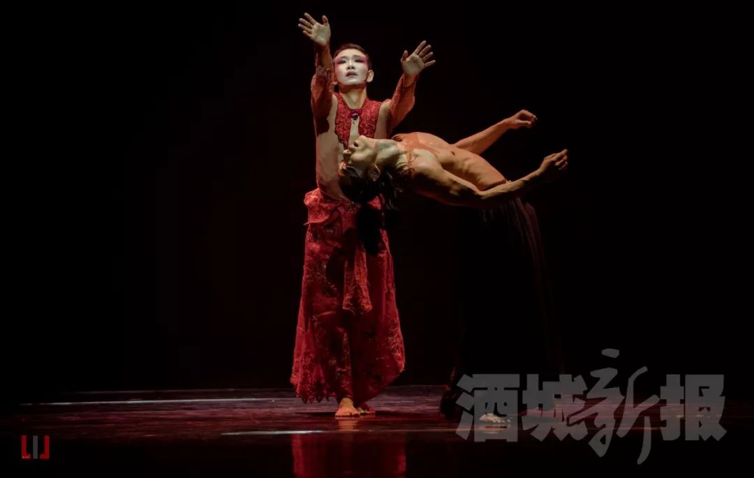 跳哭何炅的无骨鸡柳男孩是咱泸州男儿▎必须点赞