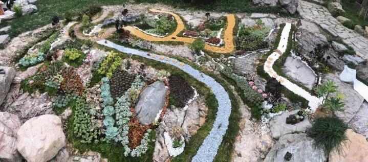 江心屿值得看的地方,最美江心屿