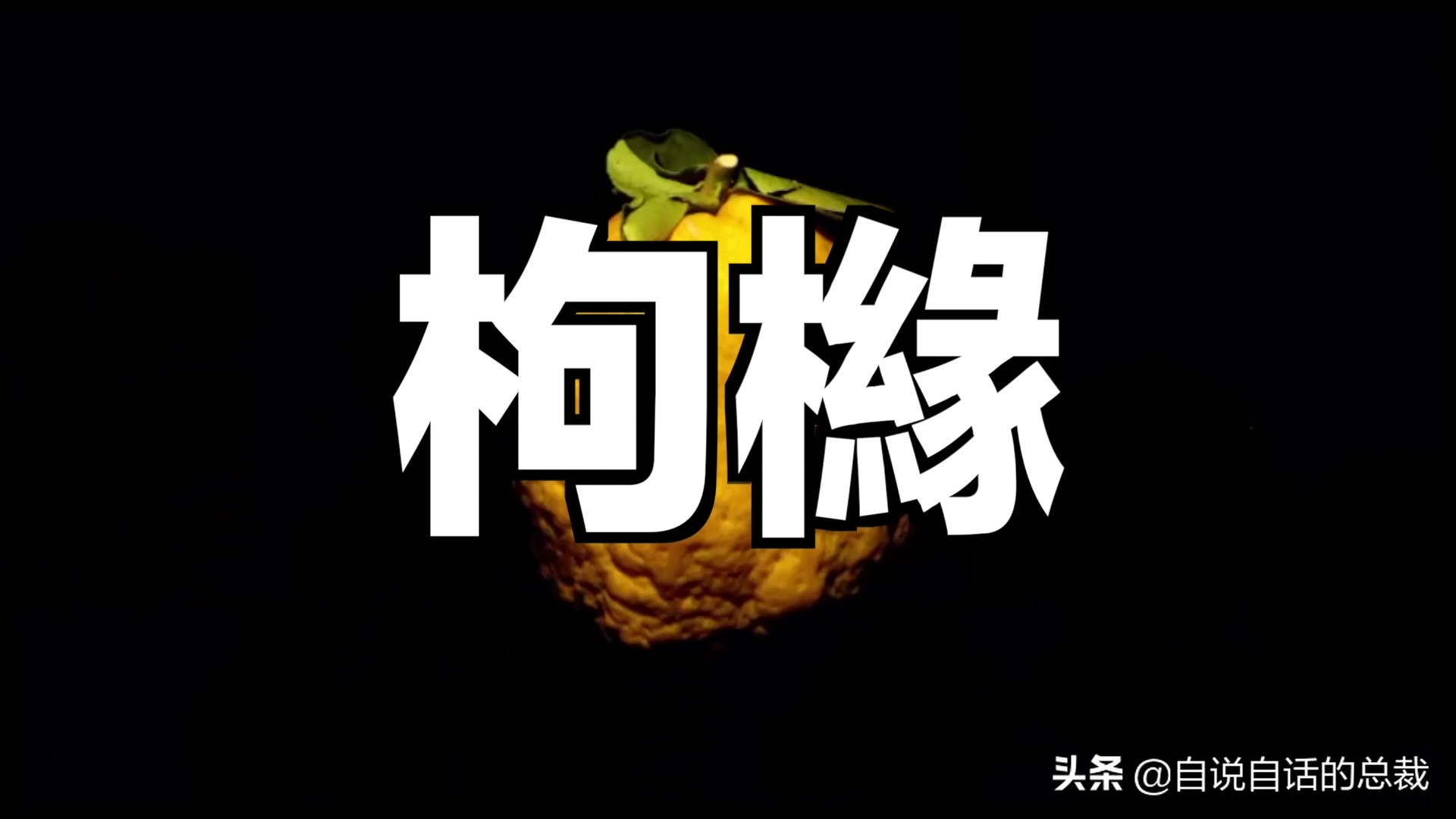 全世界的柠檬都读Lemon?这背后有一个刻在8号染色体上的上古故事