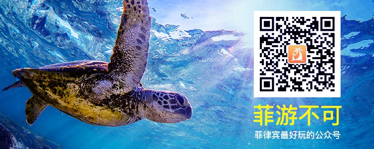 当我被火山泥浆埋住的那一刻......菲律宾火山历险记!