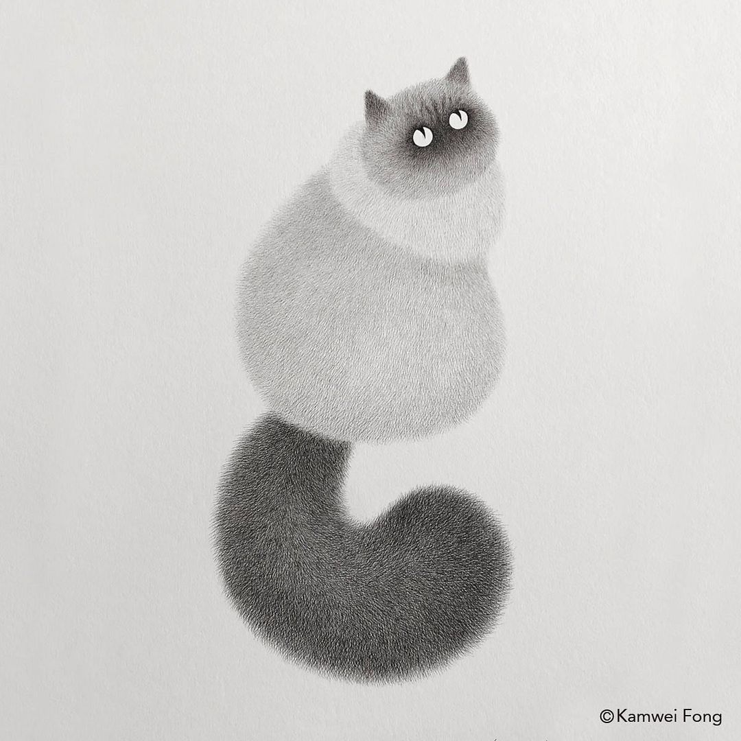 毛茸茸的手绘猫,可爱黑白手绘猫咪