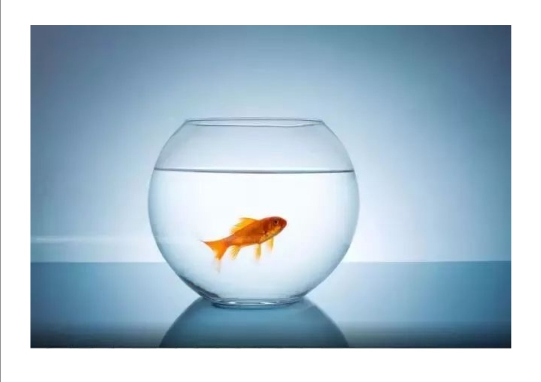 孤独的治疗给谁用,孤独的治疗方法