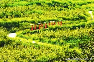 东至县尧河,池州东至尧渡镇