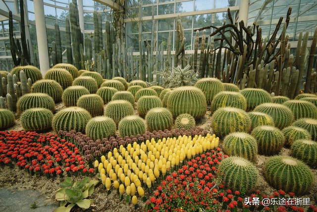 一段旅程便是一个故事简短,一段旅程一个故事记录我的生活