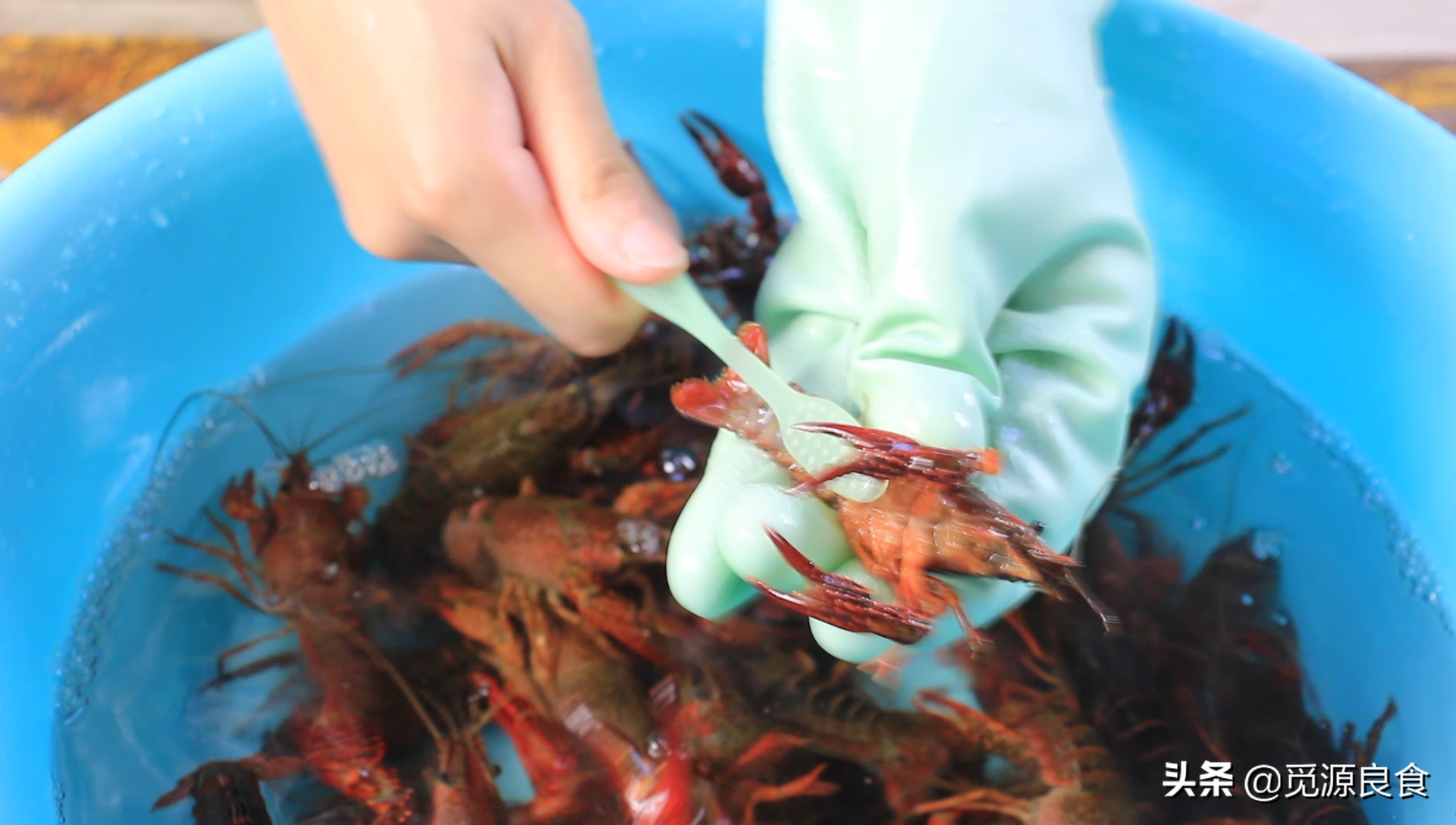清蒸蒜蓉小龙虾的做法大全,蒜蓉清蒸小龙虾做法