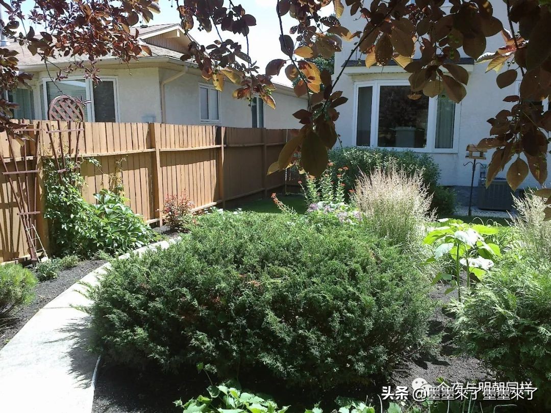 加拿大人慢节奏,加拿大人的日常生活