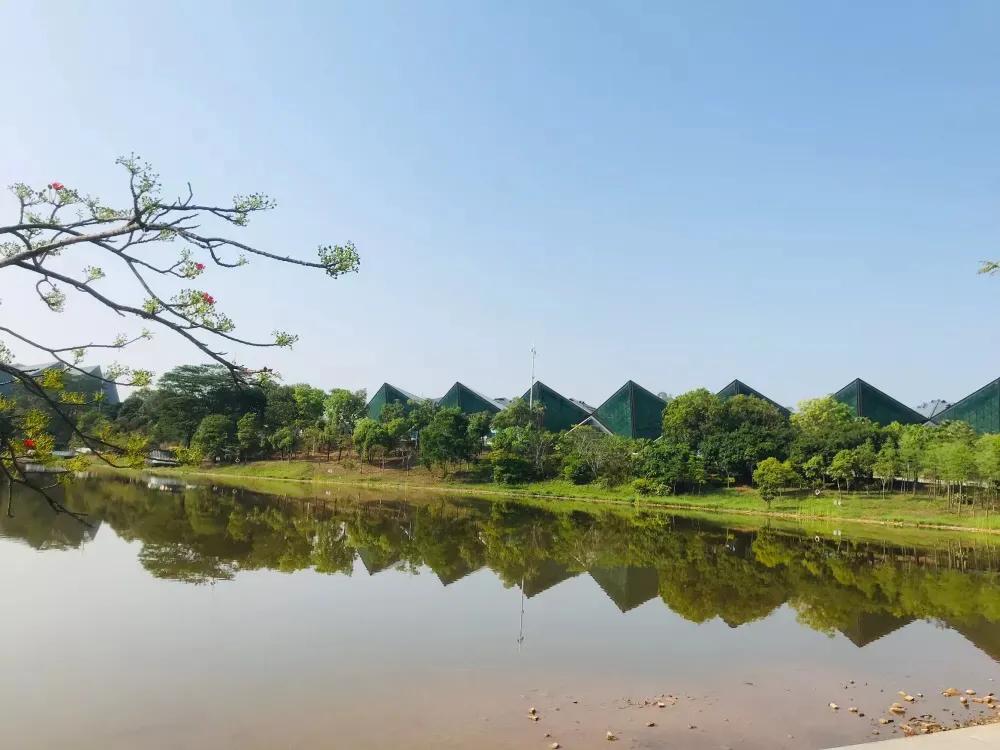 深圳龙岗跑步圣地排行榜,龙岗跑步圣地