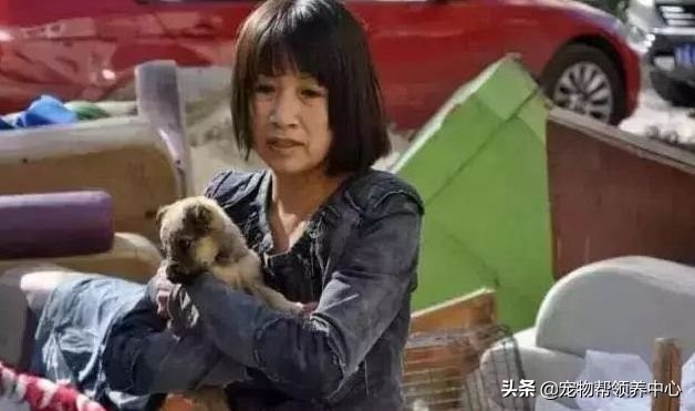 救了一只快要饿死的流浪狗,饥荒一大群猎狗来了怎么办