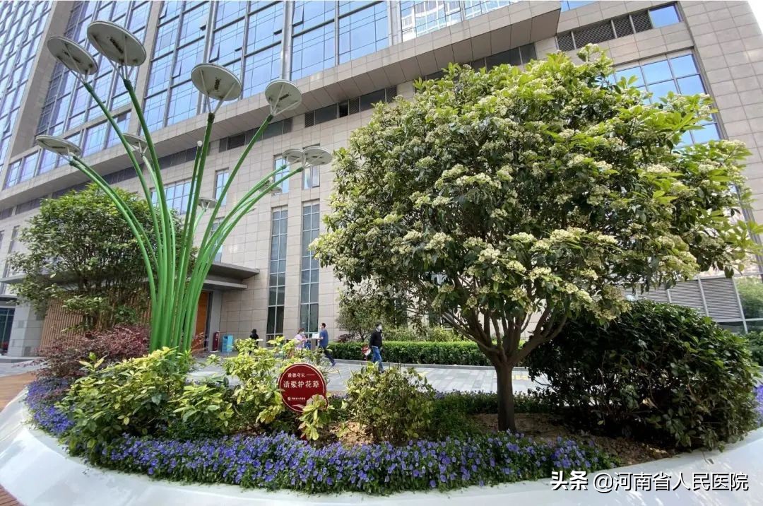 急性心梗心脏骤停救活几率,超急性期心肌梗死怎么办