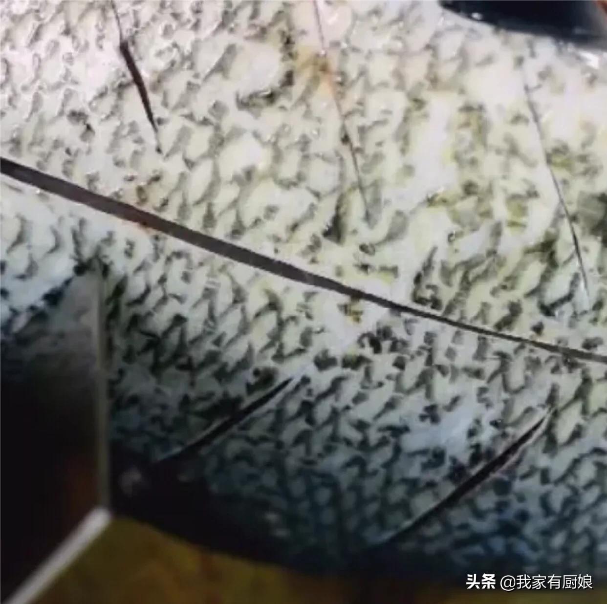 清蒸扁鱼简单烹饪,清蒸扁鱼正确做法