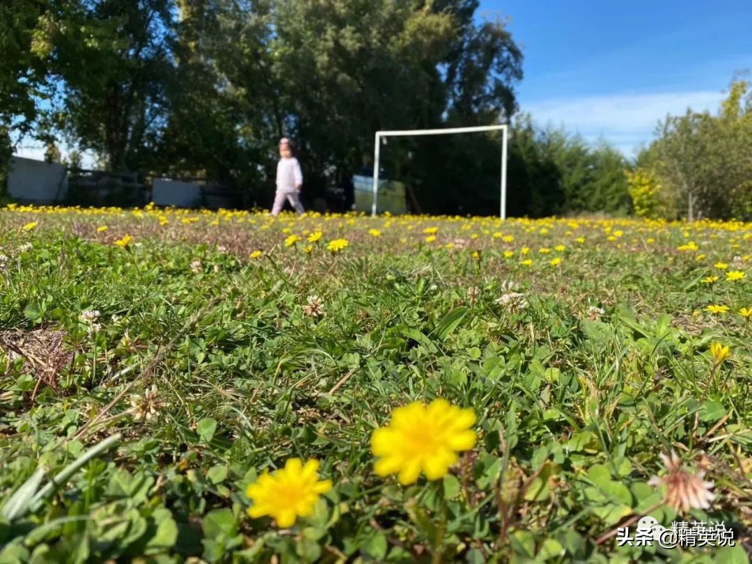 南美实录:智利小镇惊现中国人滚出传单,当地华人心态崩溃