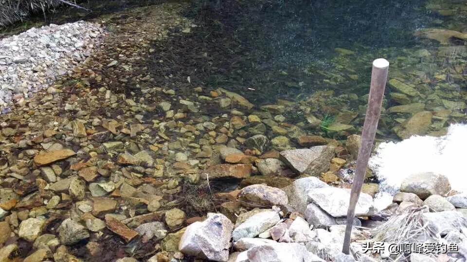 农村人的日常生活钓鱼,小的时候在农村生活钓鱼