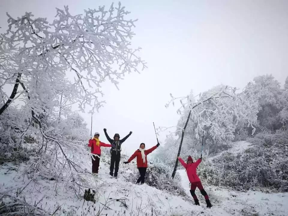 贵阳云雾山云海,贵阳云雾山雾凇旅游攻略