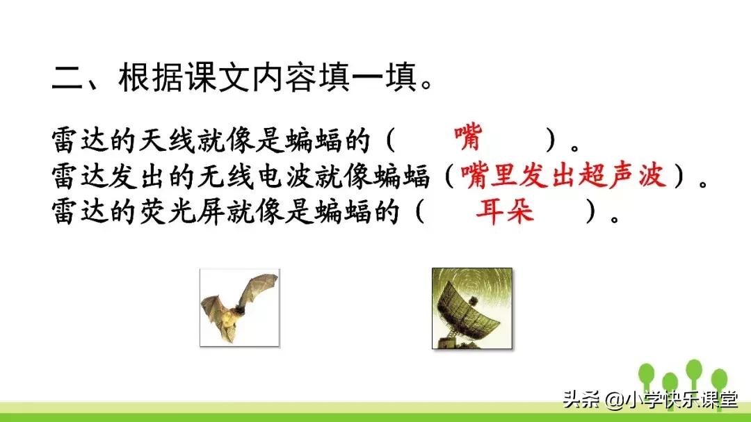四年级上册语文蝙蝠和雷达课后题,部编版四年级上册语文蝙蝠和雷达