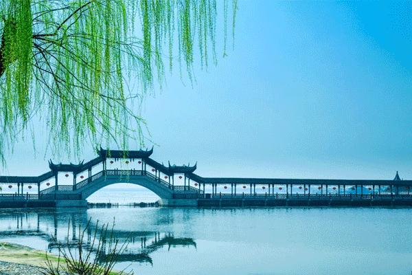 中国最富有的县有哪几个,中国最富有的地级市是哪里