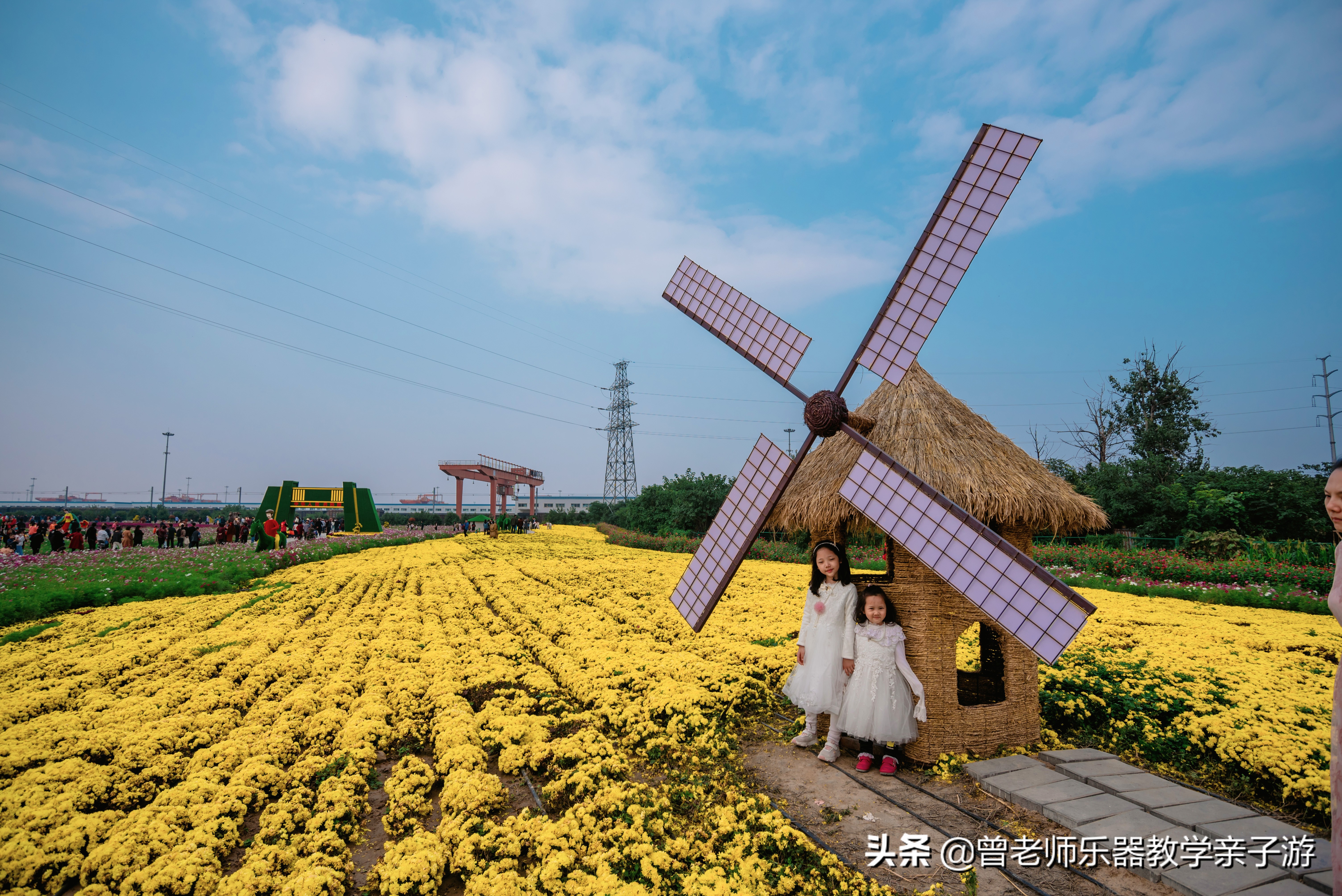爱菊研学游,爱菊丝路文化菊花园西安