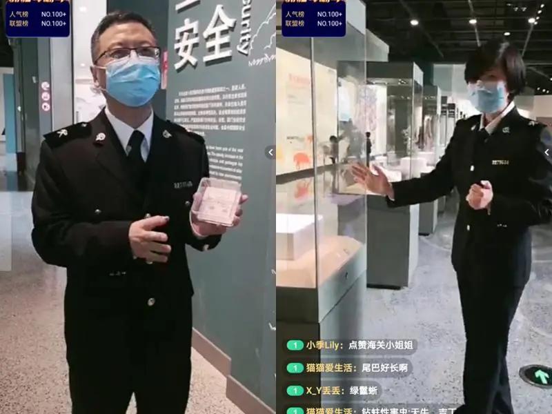 还有人从国外寄来20多只果蝠标本？海淘代购注意了，邮寄蜥蜴、盆景入境，可能会入刑！