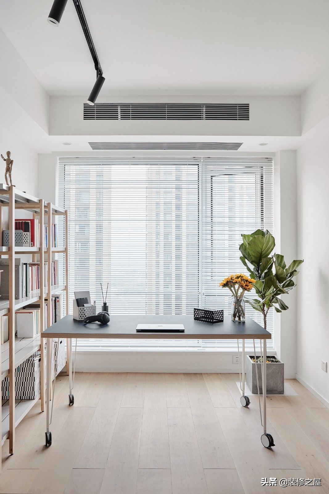 去除甲醛的高招，你懂了吗？