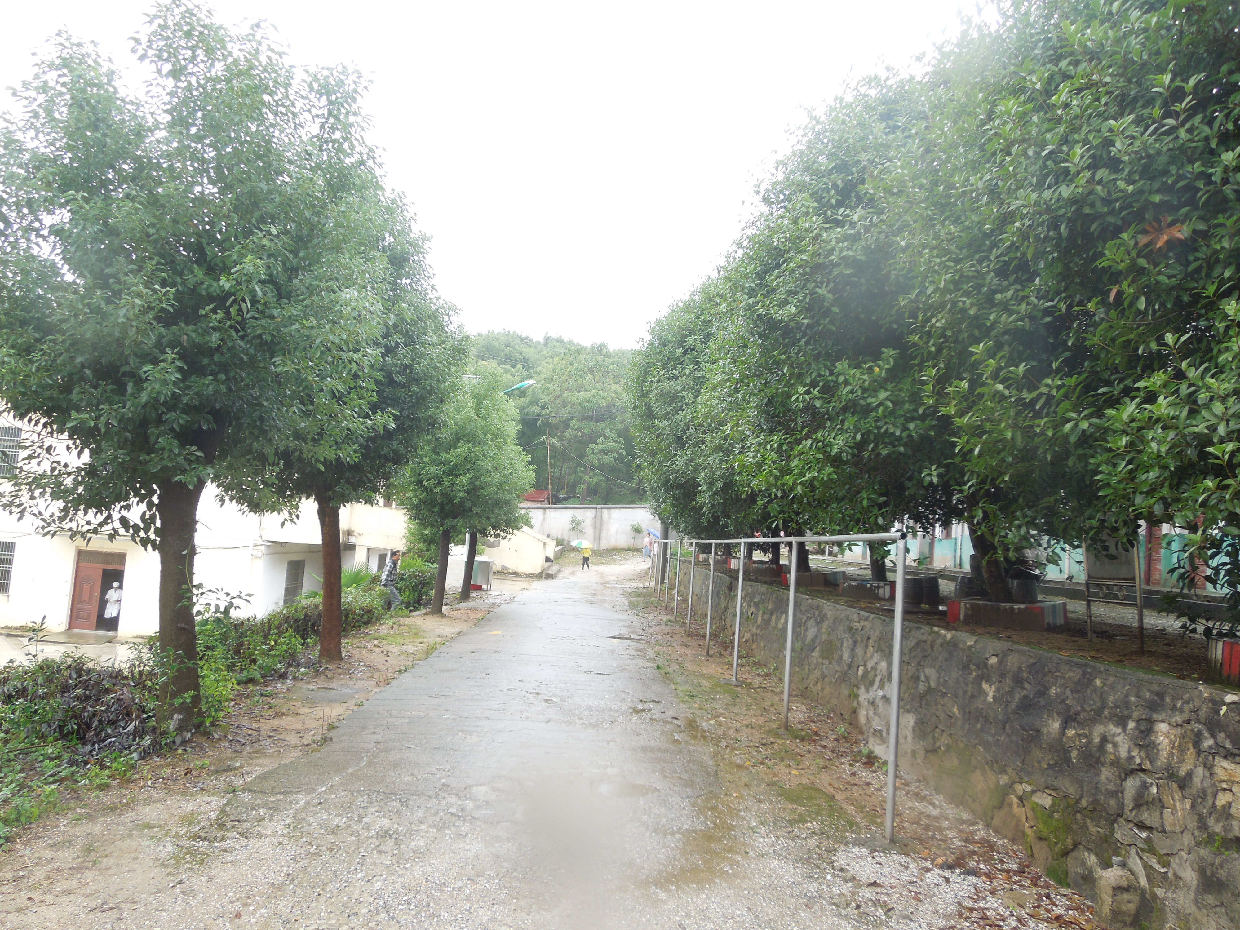 湖北省武穴市梅川镇横岗中学,横岗中学