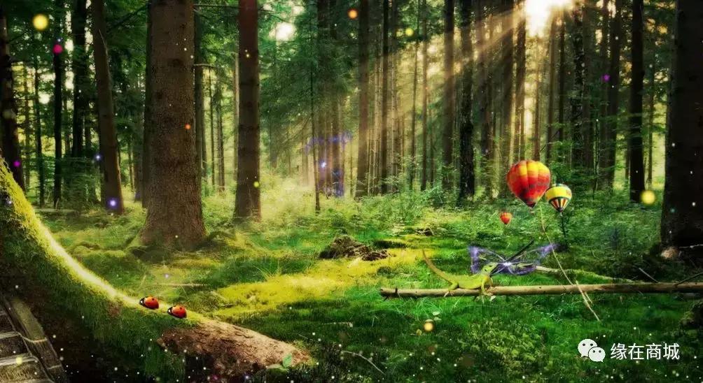 「品读」我的前男网友——以后真的不单独见面吗?/江河之王