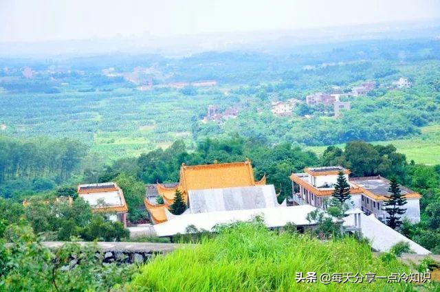 九个很有意思的冷知识,湛江冷知识