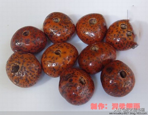 菩提子种类与寓意,手把件菩提子种类