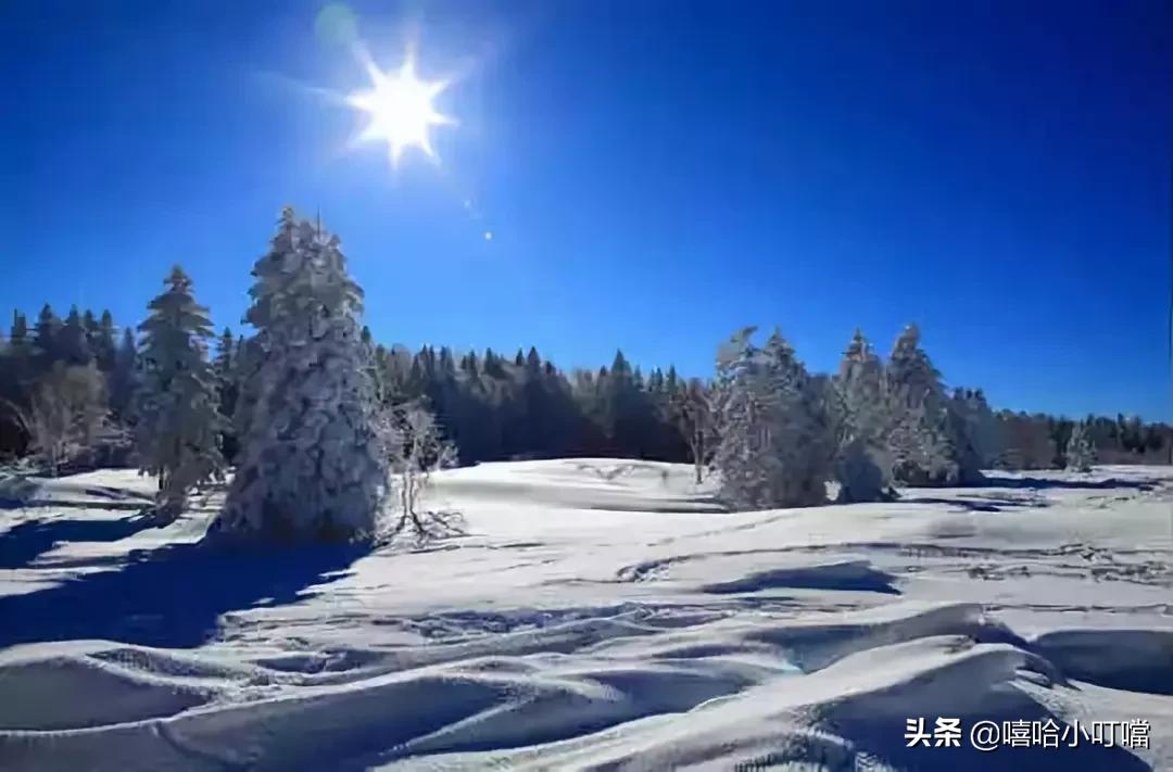 全国各地特产一览表,全国各地特产小吃一览表