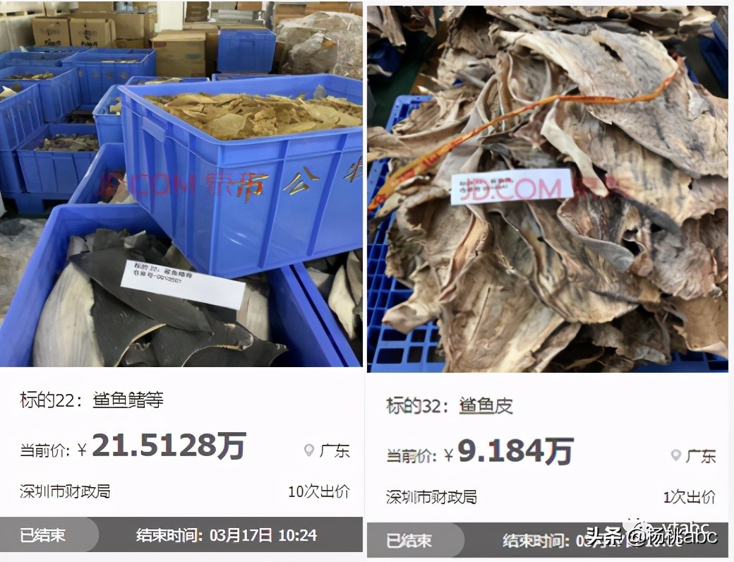 最稀有的游戏王卡牌,8700万的游戏王卡拍卖全过程