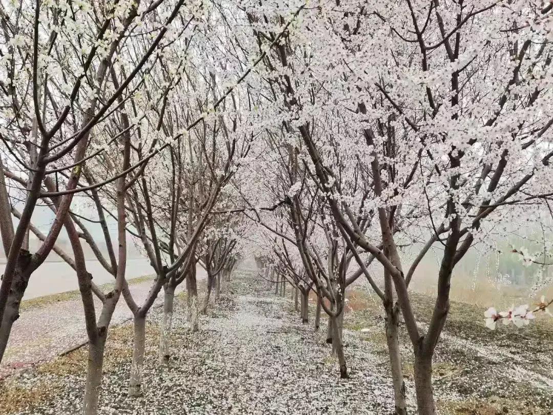 天津市独立院校（四）天津财经大学珠江学院