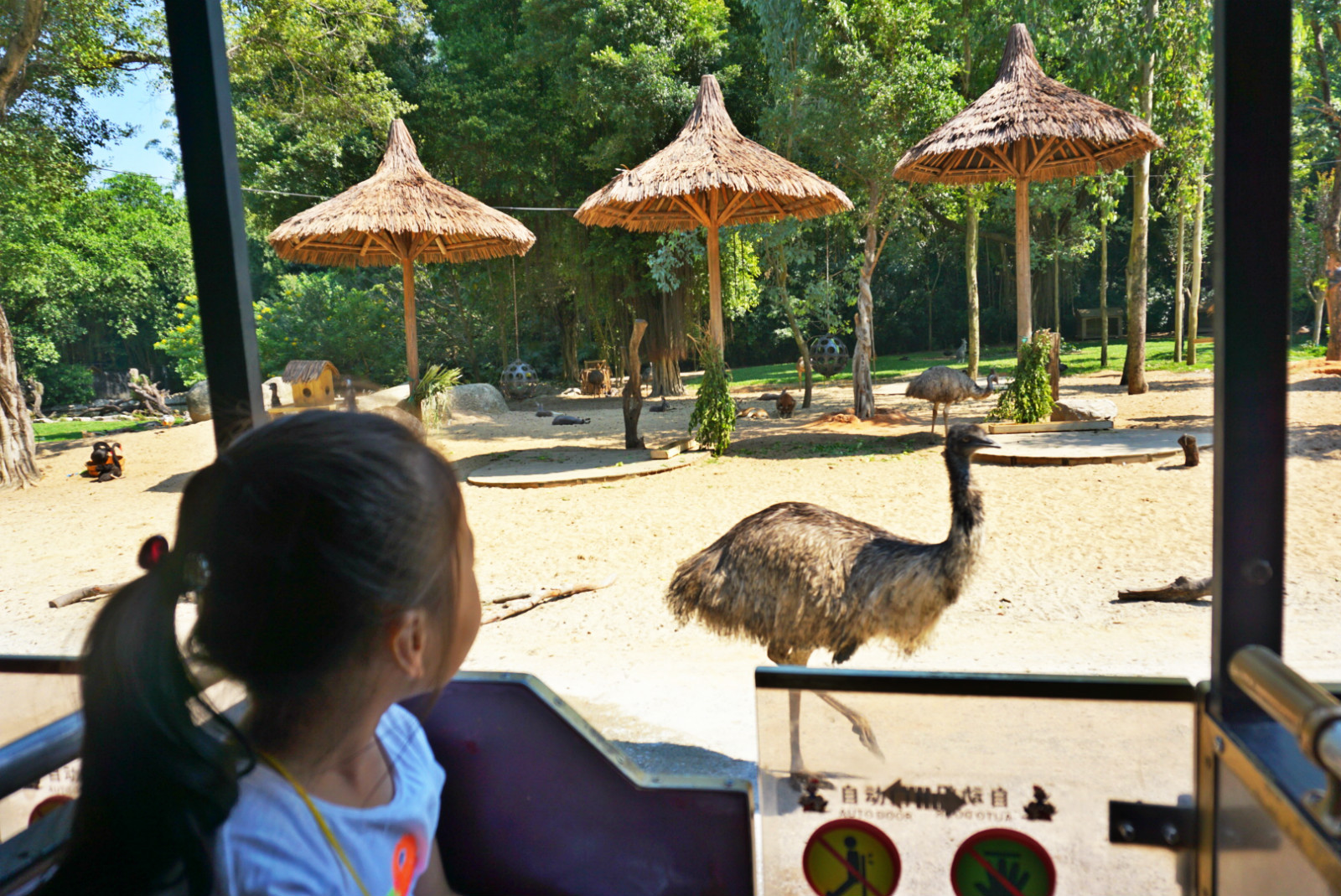 常州恐龙园和珠海长隆哪个好玩,珠海长隆海洋王国好玩吗