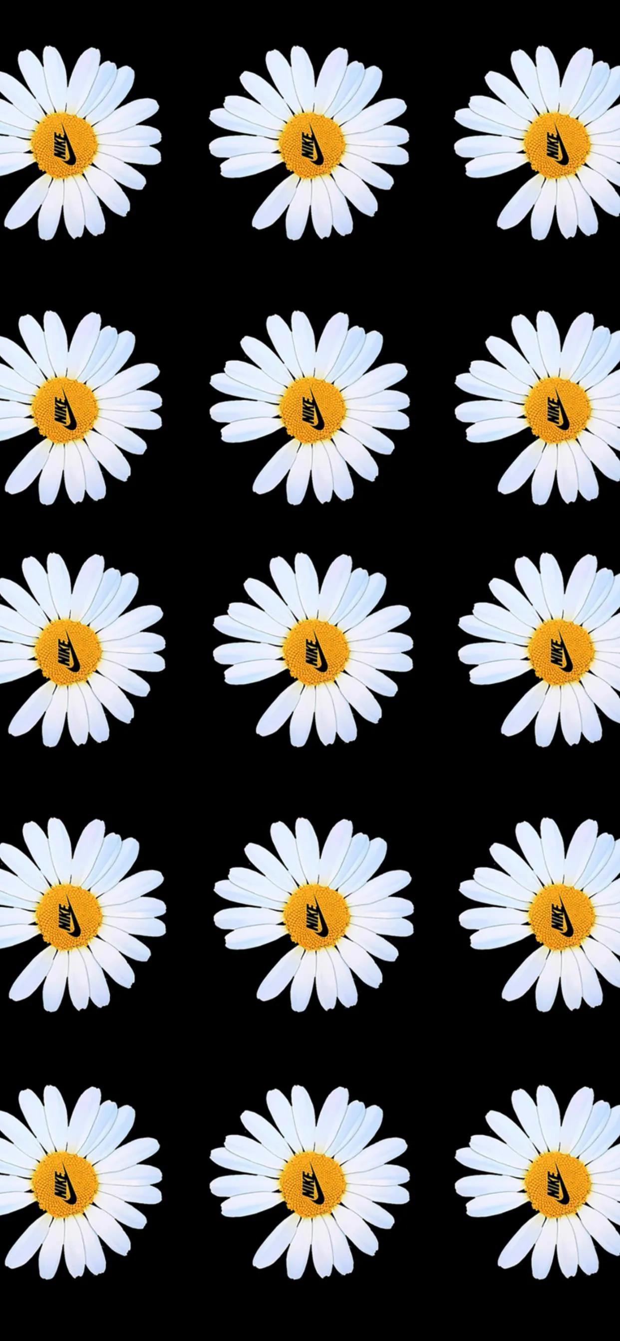 李宁和nike的最火壁纸,壁纸耐克阿迪