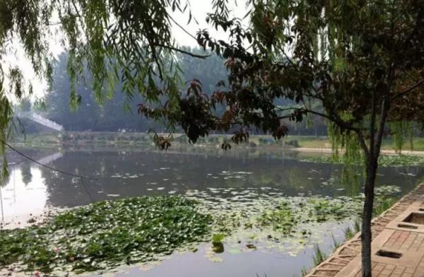 重庆主城好玩的农家乐,这才是重庆最好的农家乐