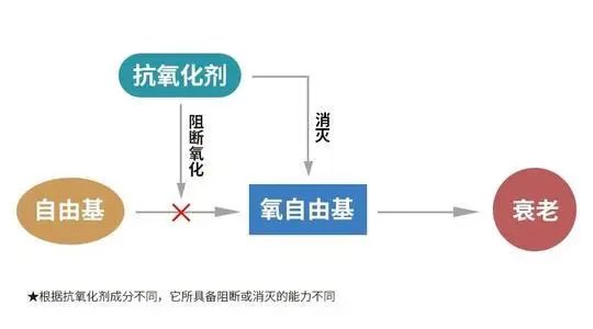 去脖子黑色素颈纹的最快方法,老年人脖子上的颈纹怎么遮挡