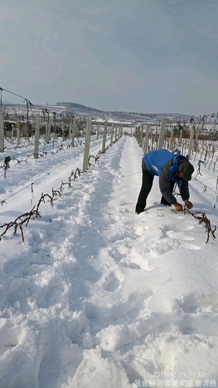诗和远方在身边完整版,诗和远方在身边
