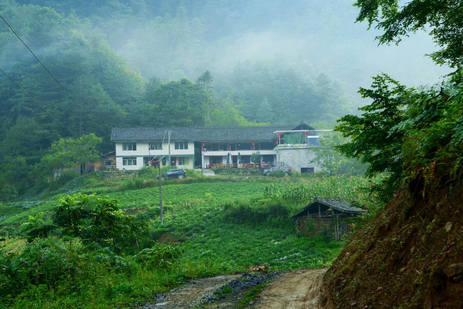 六月回忆儿时校园,六月回忆童年